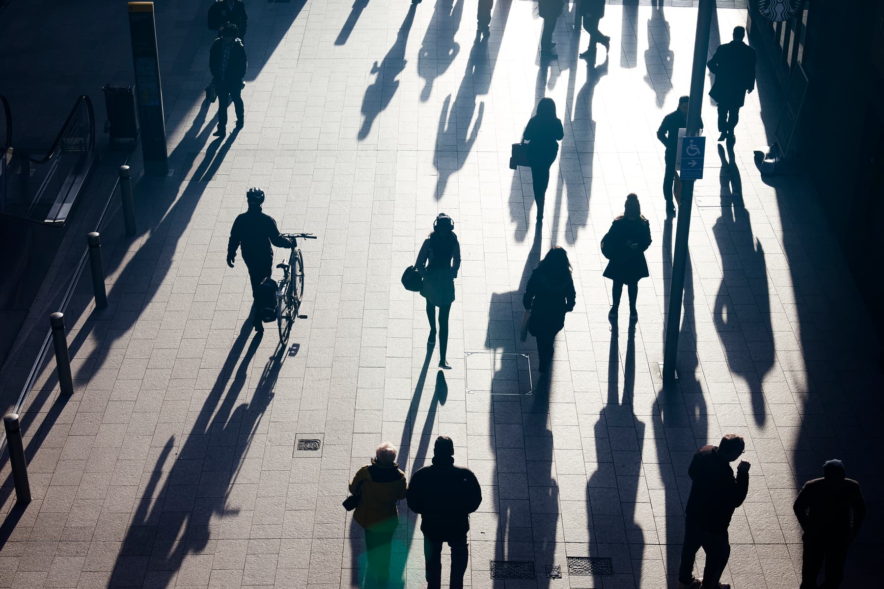 Offer Travel Risk Assessment Committees the resources Offer Travel Risk Assessment Committees the resources