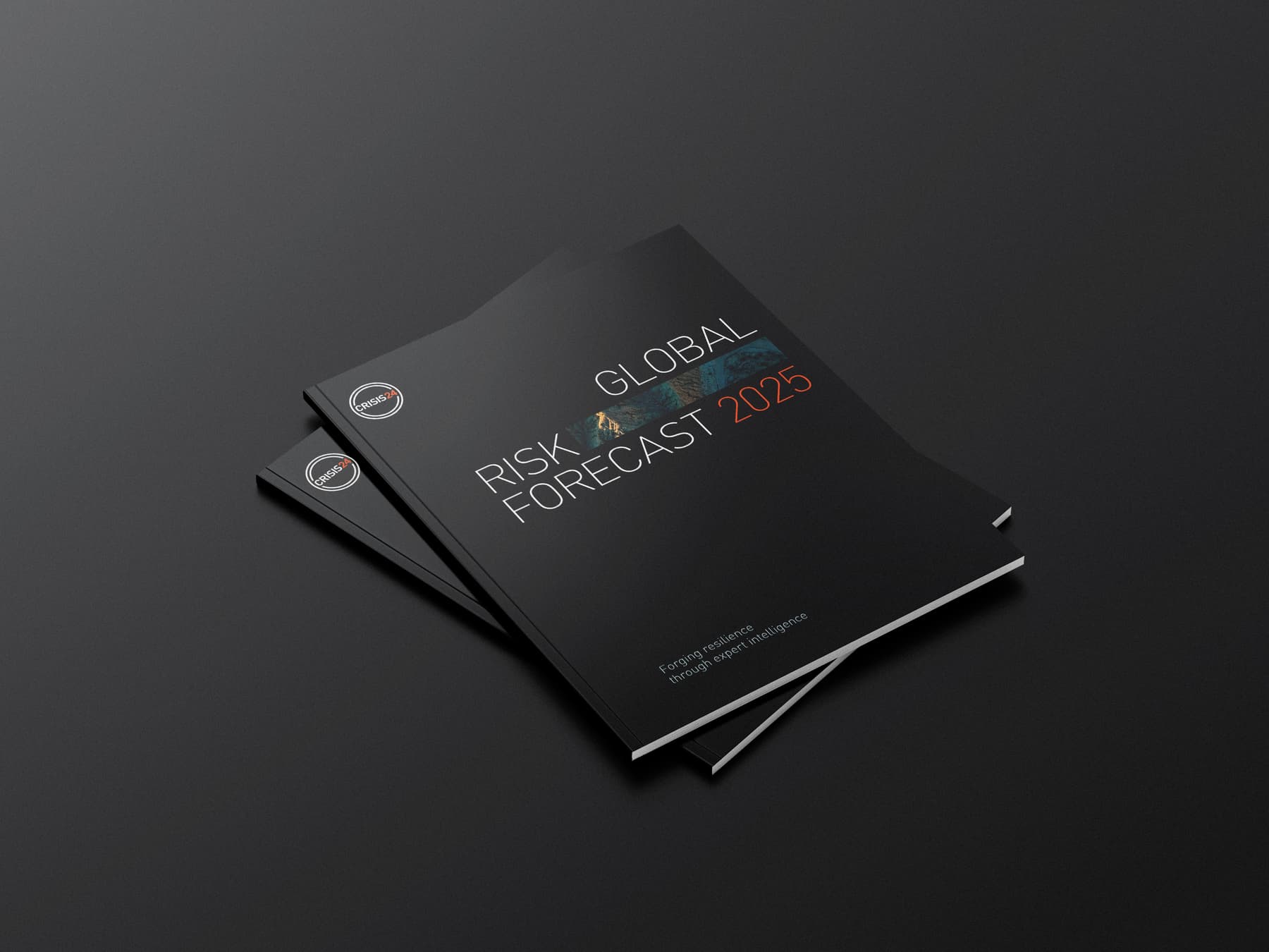 global risk forecast global risk forecast