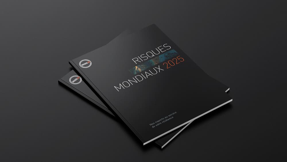 Risques Mondiaux 2025 Cover Risques Mondiaux 2025 Cover